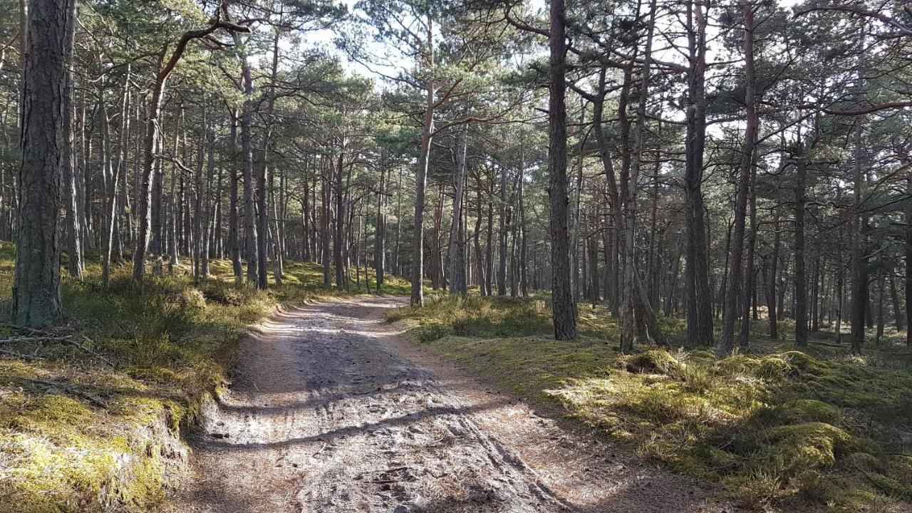 Homebaltic Łeba Buitenkant foto